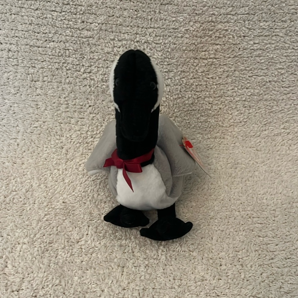 Beanie baby loosy